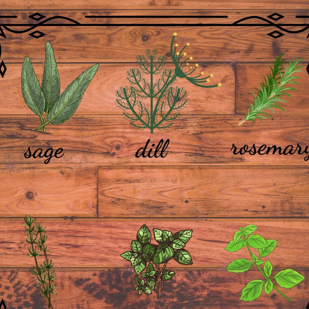 Herb illustrations on a wooden background with labels for sage, dill, rosemary, thyme, and basil.