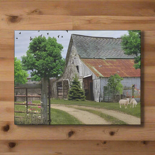 Canvas Print featuring a rustic barn with sheep on a farm. shown on a dark wood background