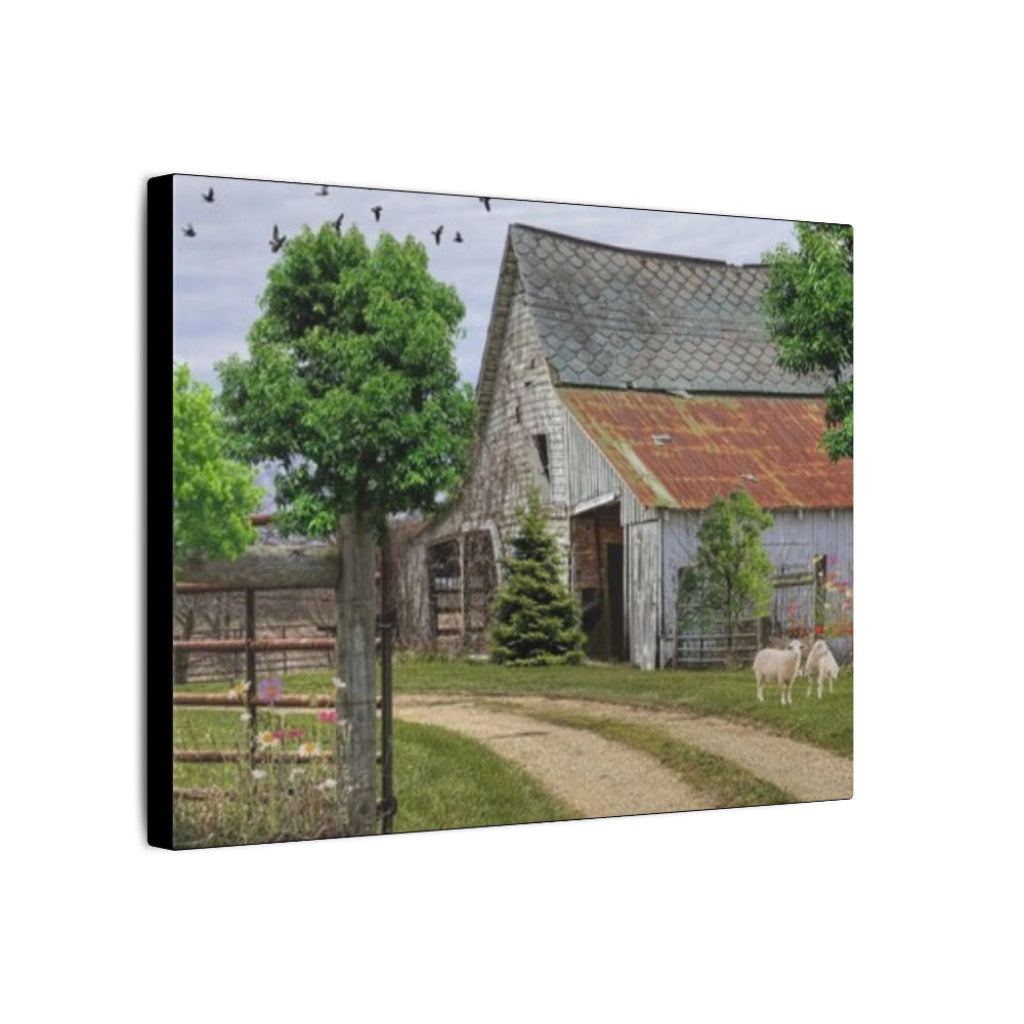 Canvas print of a rural scene with a barn, trees, and sheep.