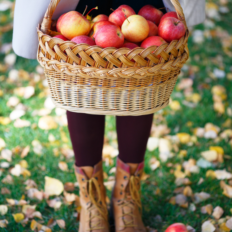 Picture shows a woman with a basket of apples. The collection features cozy fall home decor pieces