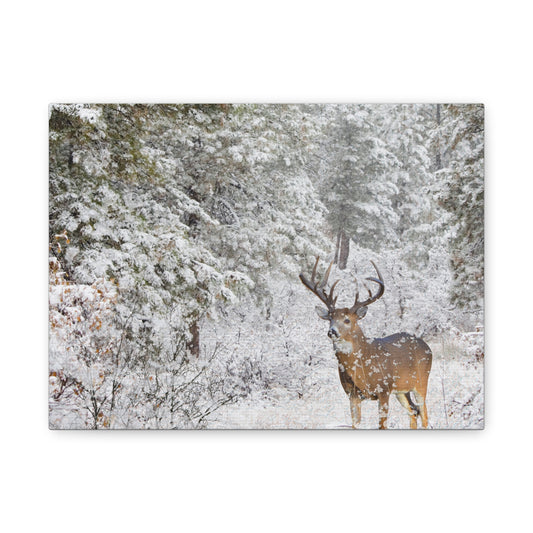 Winter Deer Canvas Wall Art – Snowy Buck Nature Print