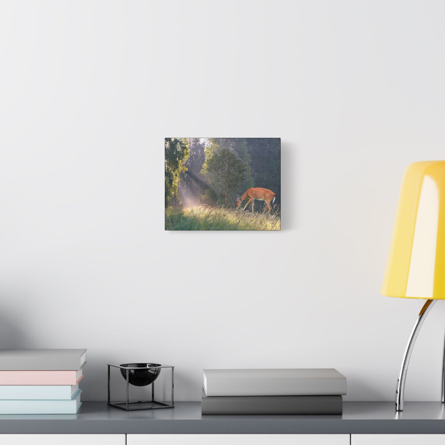 Deer in Sunlit Forest Satin Canvas Print — Stretched Nature Wall Art