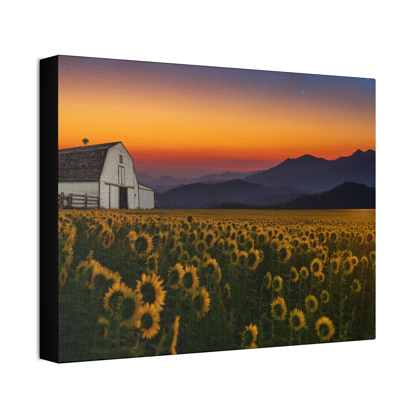 Sunflower Field at Sunset Canvas Wall Art — Farmhouse Barn Landscape Stretched Canvas