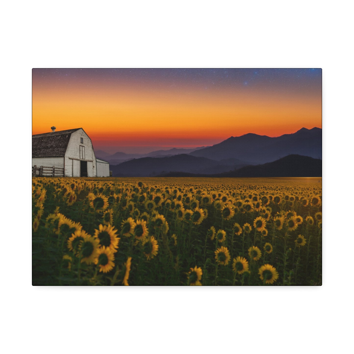 Sunflower Field at Sunset Canvas Wall Art — Farmhouse Barn Landscape Stretched Canvas