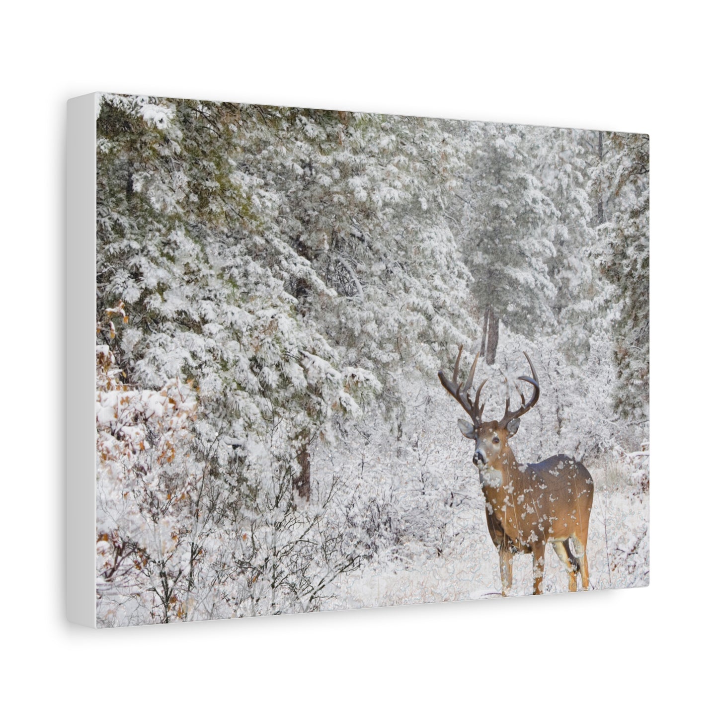 Winter Deer Canvas Wall Art – Snowy Buck Nature Print