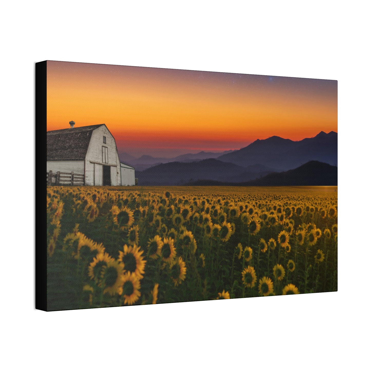 Sunflower Field at Sunset Canvas Wall Art — Farmhouse Barn Landscape Stretched Canvas
