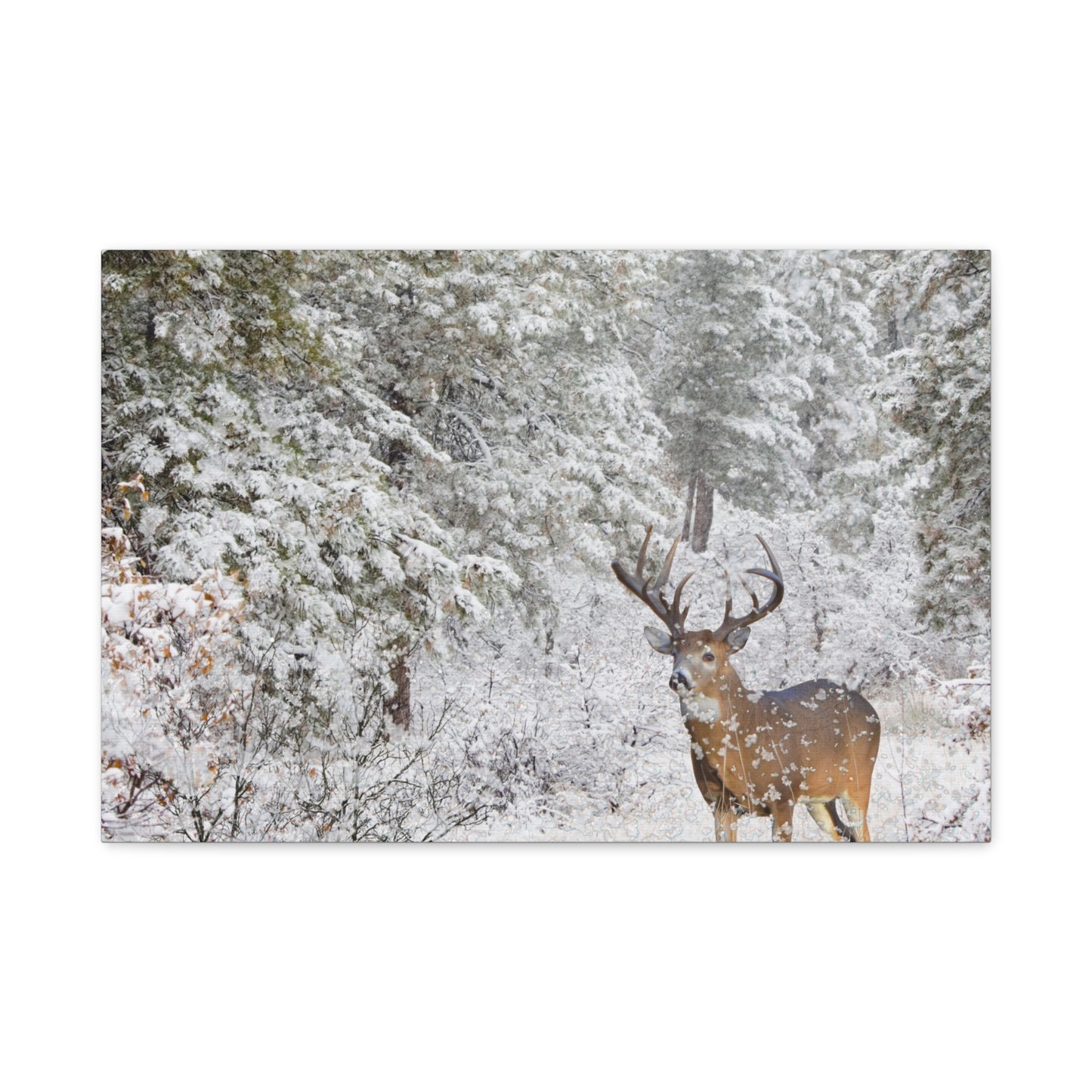 Winter Deer Canvas Wall Art – Snowy Buck Nature Print