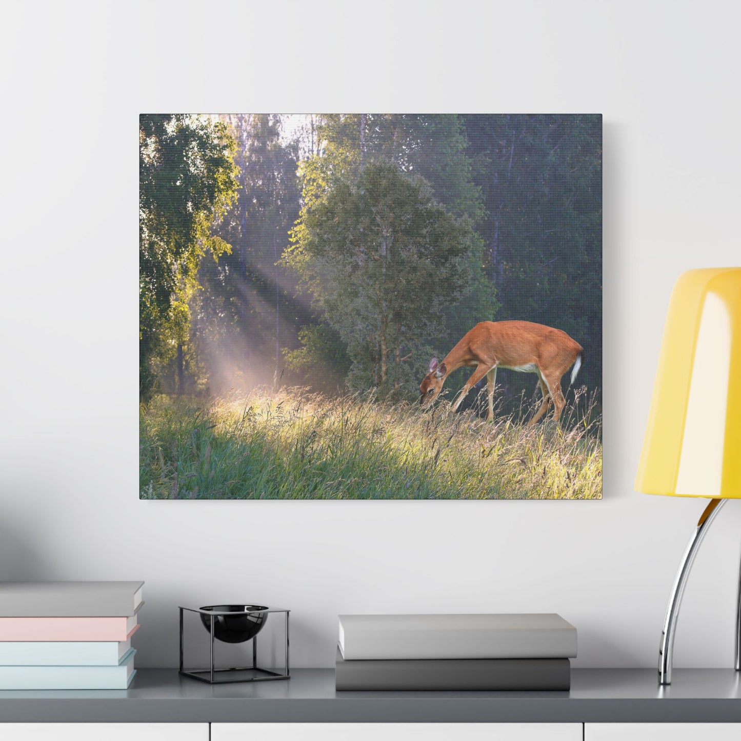 Deer in Sunlit Forest Satin Canvas Print — Stretched Nature Wall Art