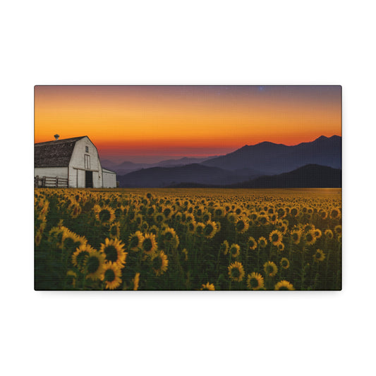 Sunflower Field at Sunset Canvas Wall Art — Farmhouse Barn Landscape Stretched Canvas
