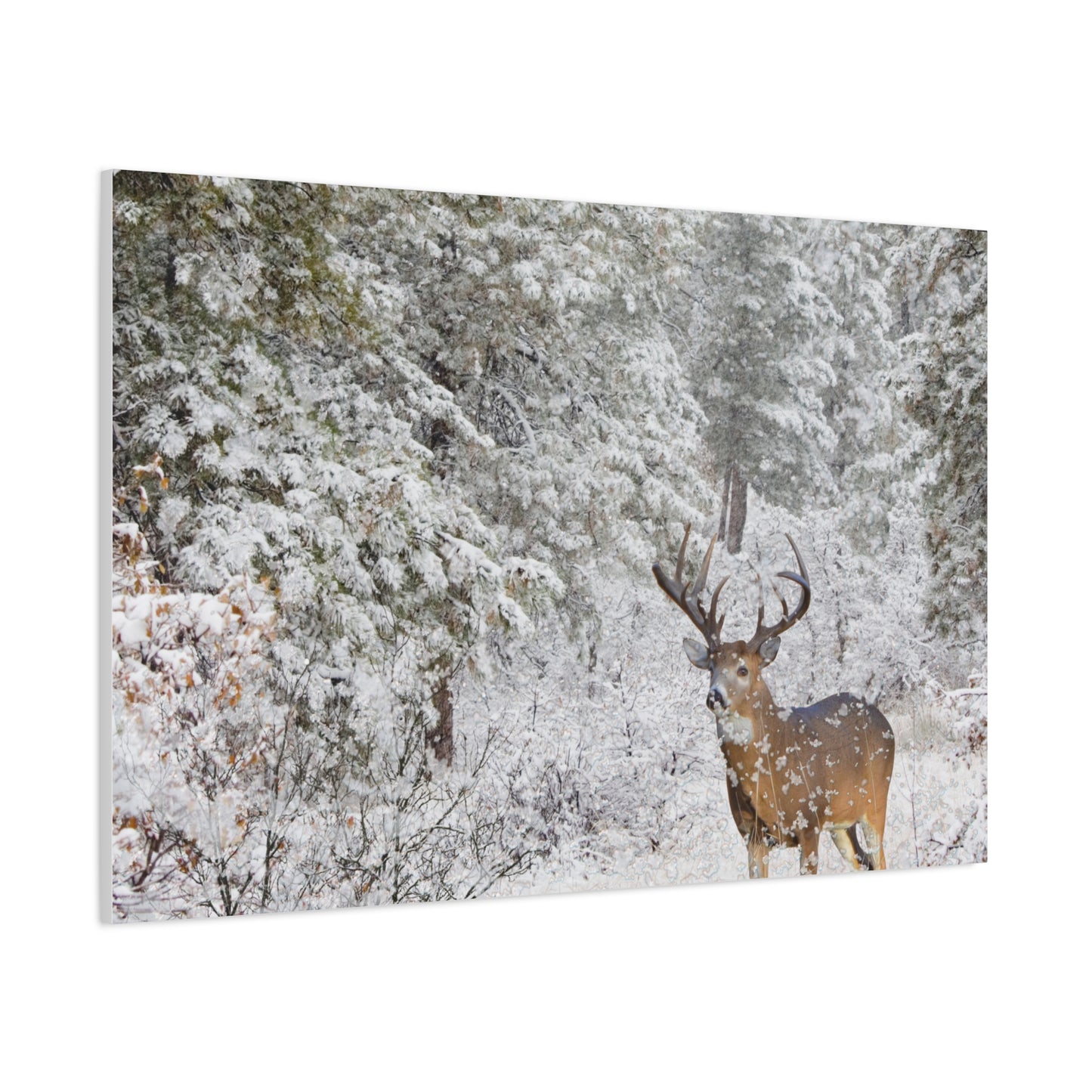 Winter Deer Canvas Wall Art – Snowy Buck Nature Print