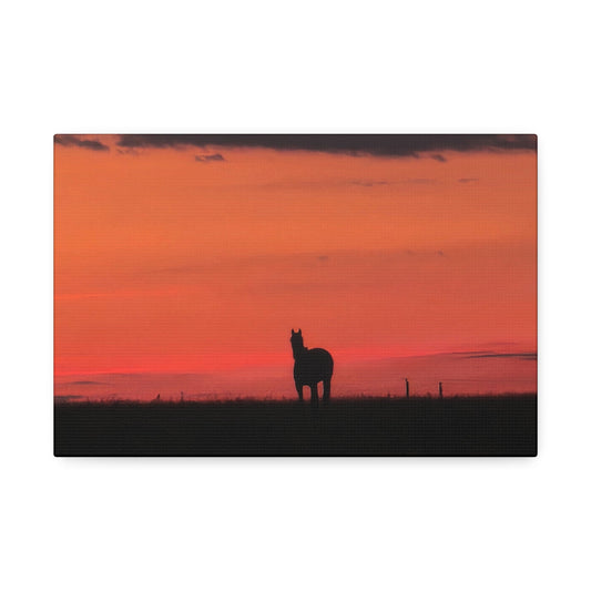 Silhouette of a horse against an orange sunset sky canvas print