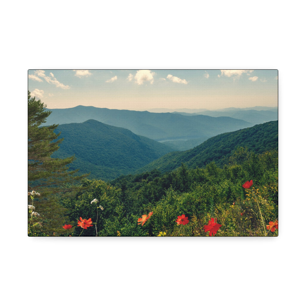 Scenic view of mountains with red flowers in the foreground