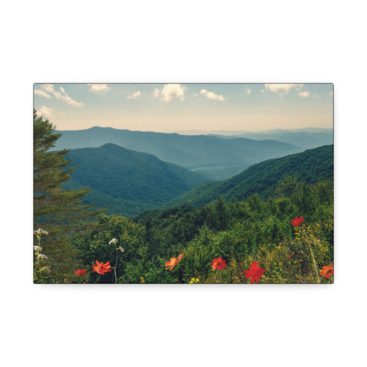 Scenic view of mountains with red flowers in the foreground