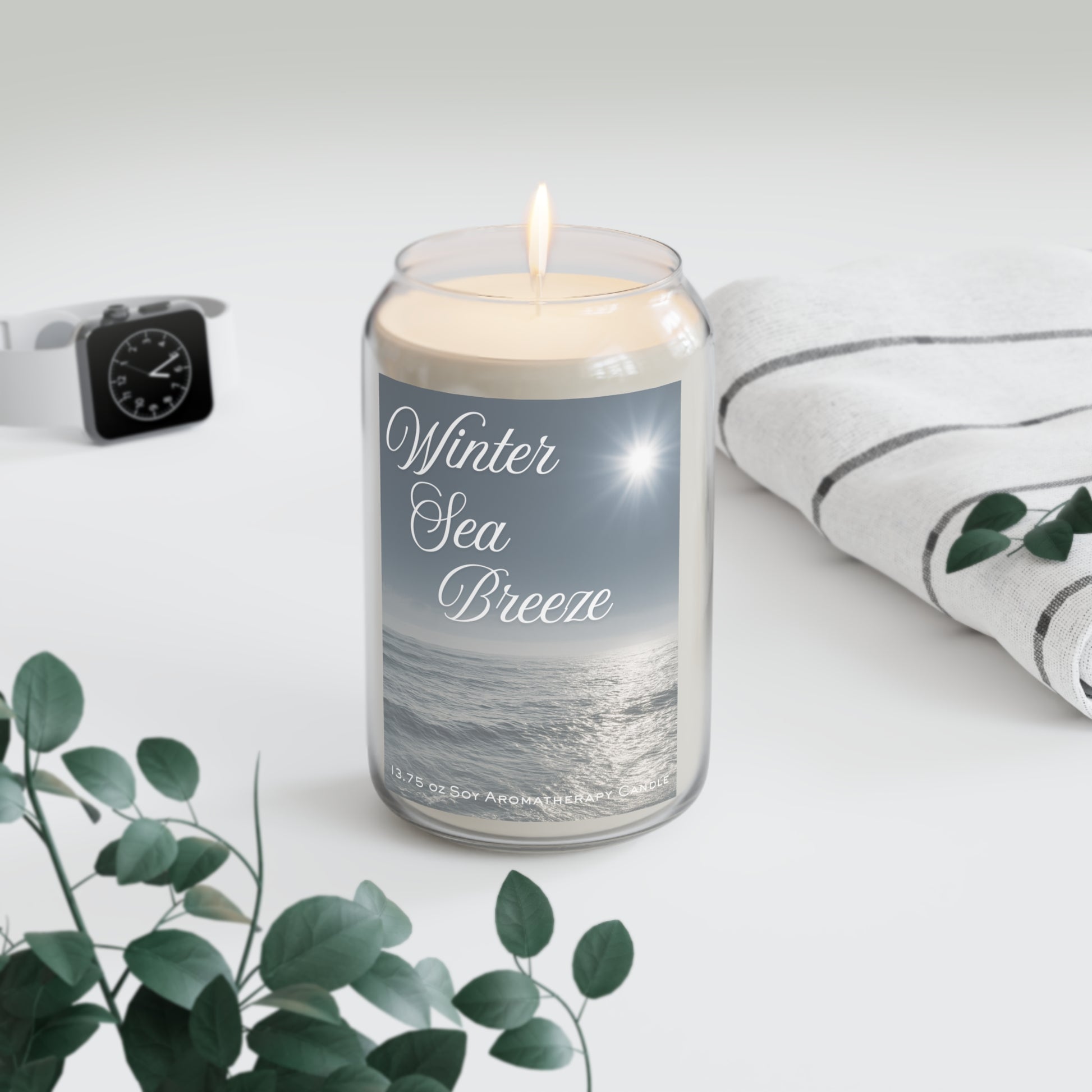 Candle labeled 'Winter Sea Breeze' on a white surface with a plant and watch in the background