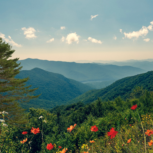 A Beautiful Day Canvas Wall Art Detail of artwork with majestic mountains and bright florals