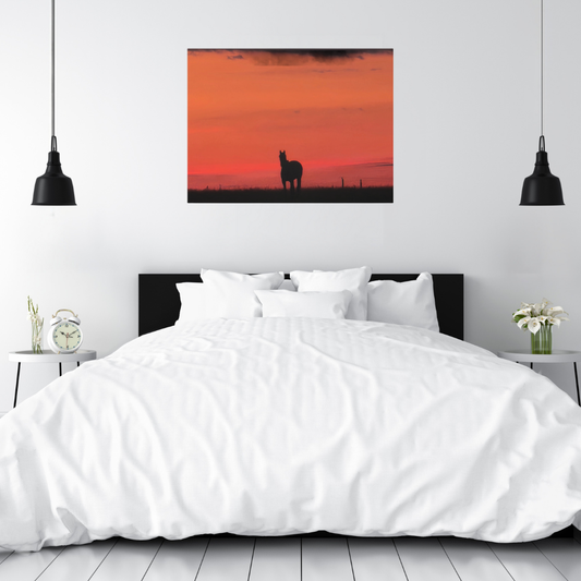 Silhouette of a horse at sunset shown in a modern farmhouse style bedroom with a white comforter and black headboard.