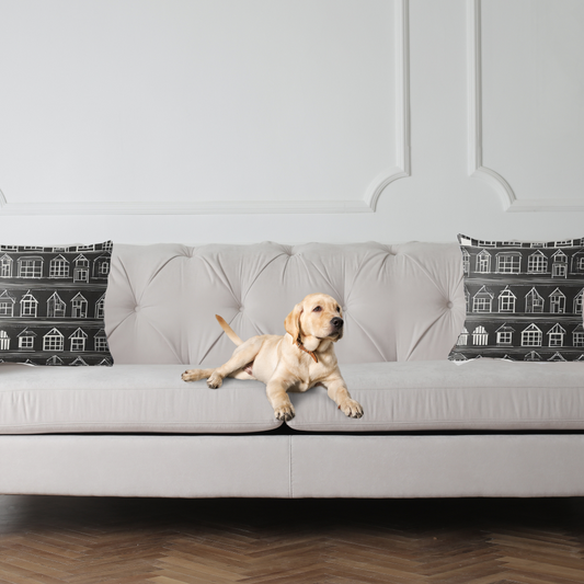 A cute dog sitting on a gray sofa with Home Sweet Home decorative pillows in a room with white walls and wood flooring.