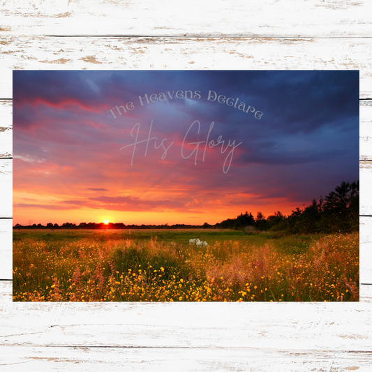 Wall Decor- The heavens declare His glory shown on a white wood background