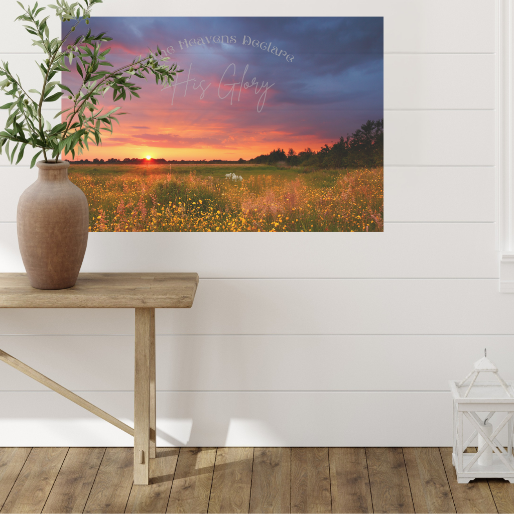 Wall Decor- The heavens declare his glory shown in size large on a shiplapped wall