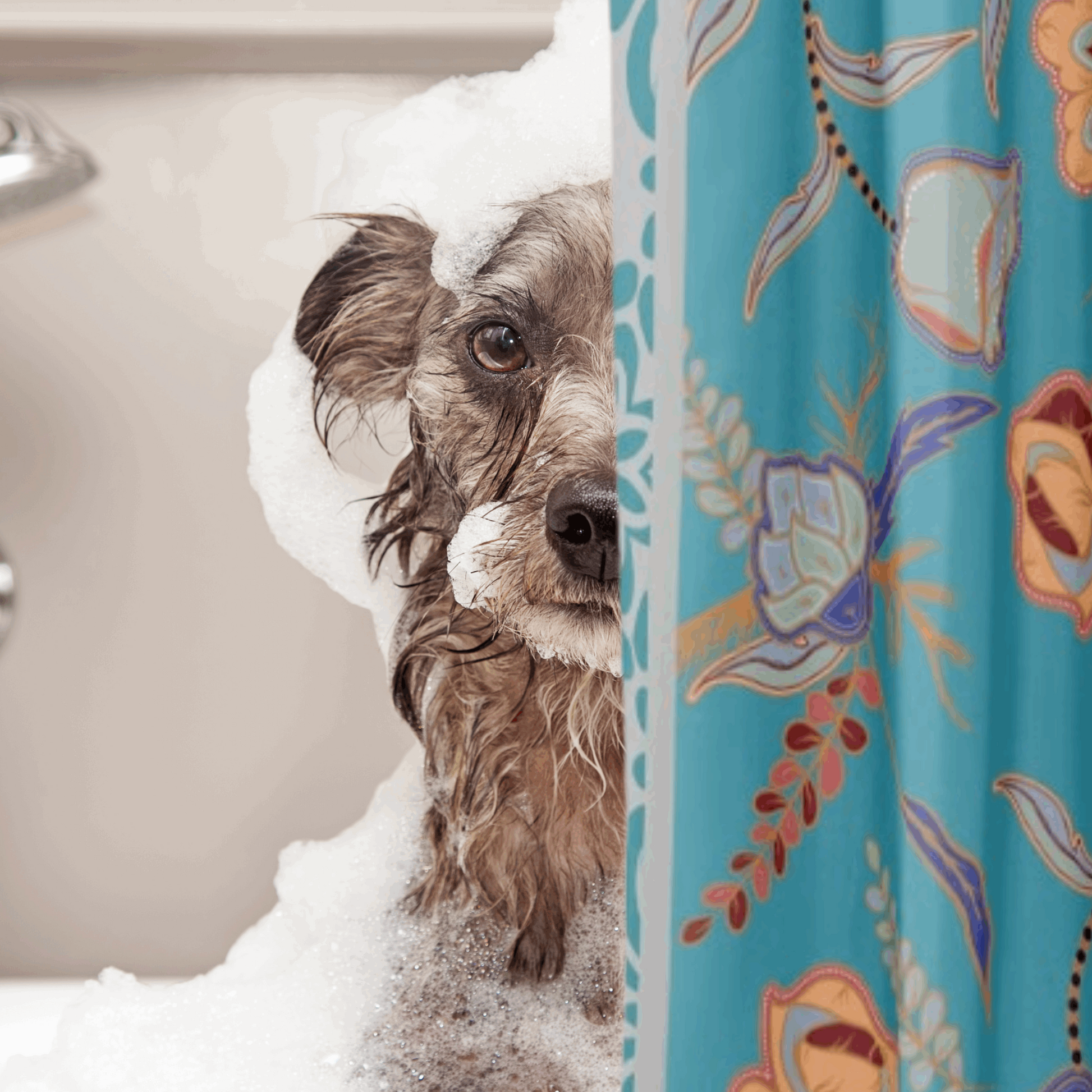 teal floral shower curtain shown with a dog in a bath