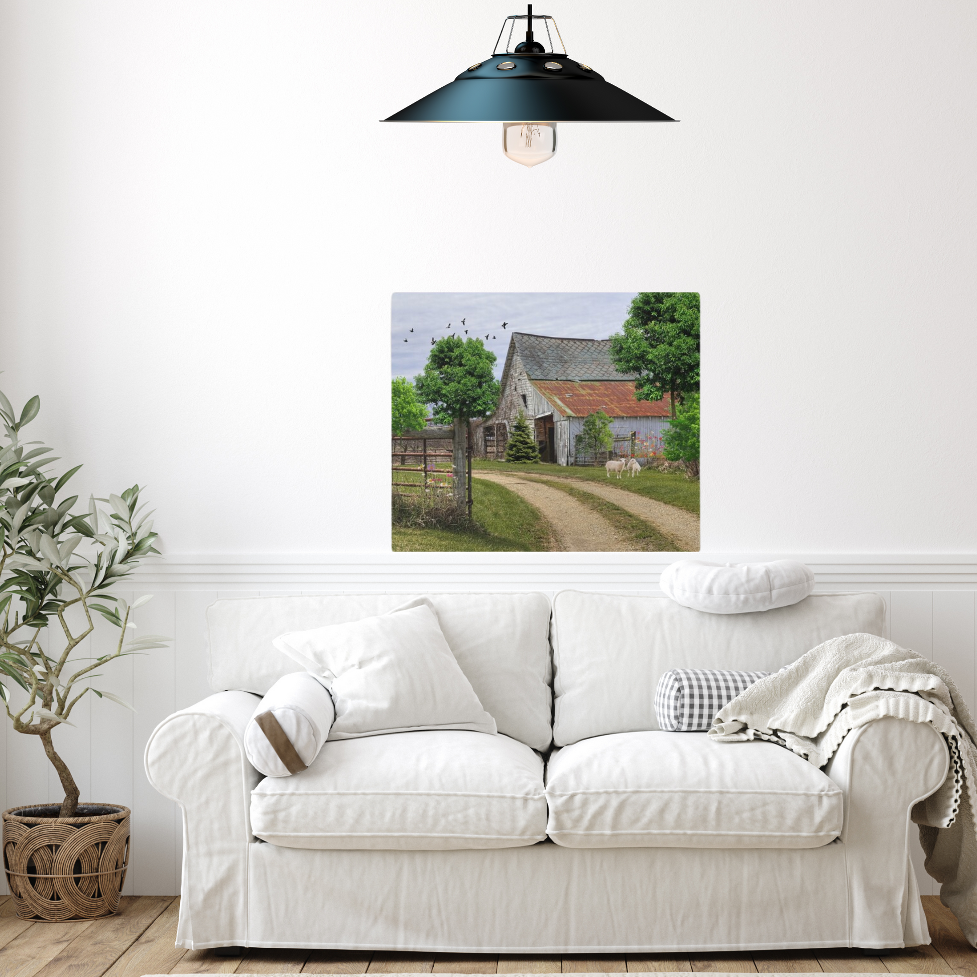 rustic barn landscape with sheep grazing