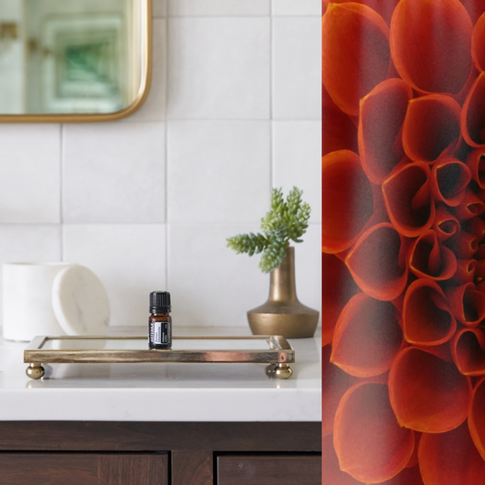 shown in an elegant bathroom