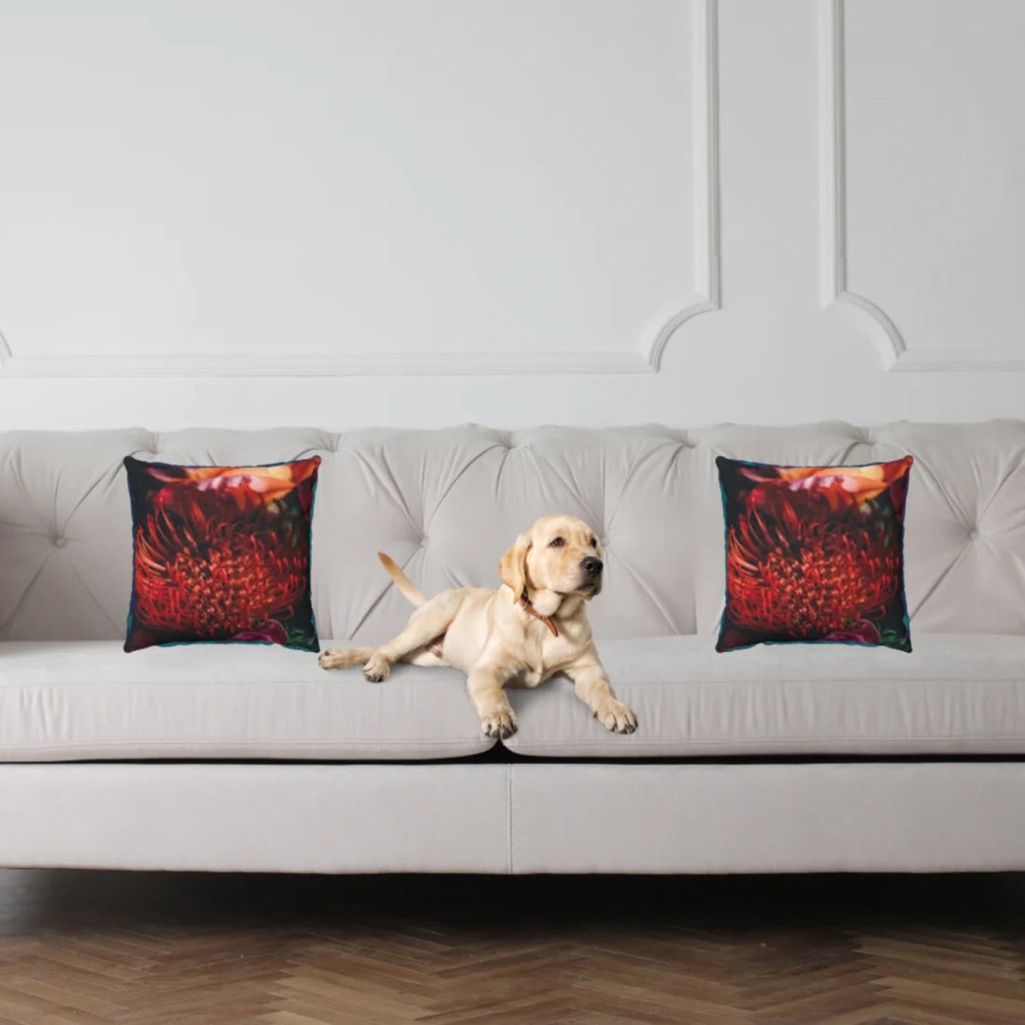 A light gray tufted sofa in a bright room, styled with two square throw pillows featuring a vivid red and orange floral print. A light-colored Labrador retriever is lying on the sofa between the pillows.