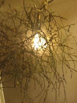 Genuine Dried Black Tumbleweed Pendant Light Fixture
